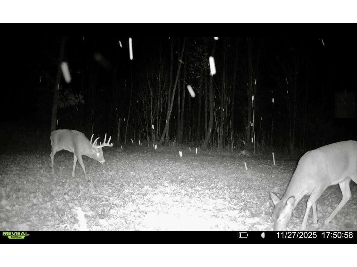25478 185th Avenue Cornell WI 54732 1603555 image27
