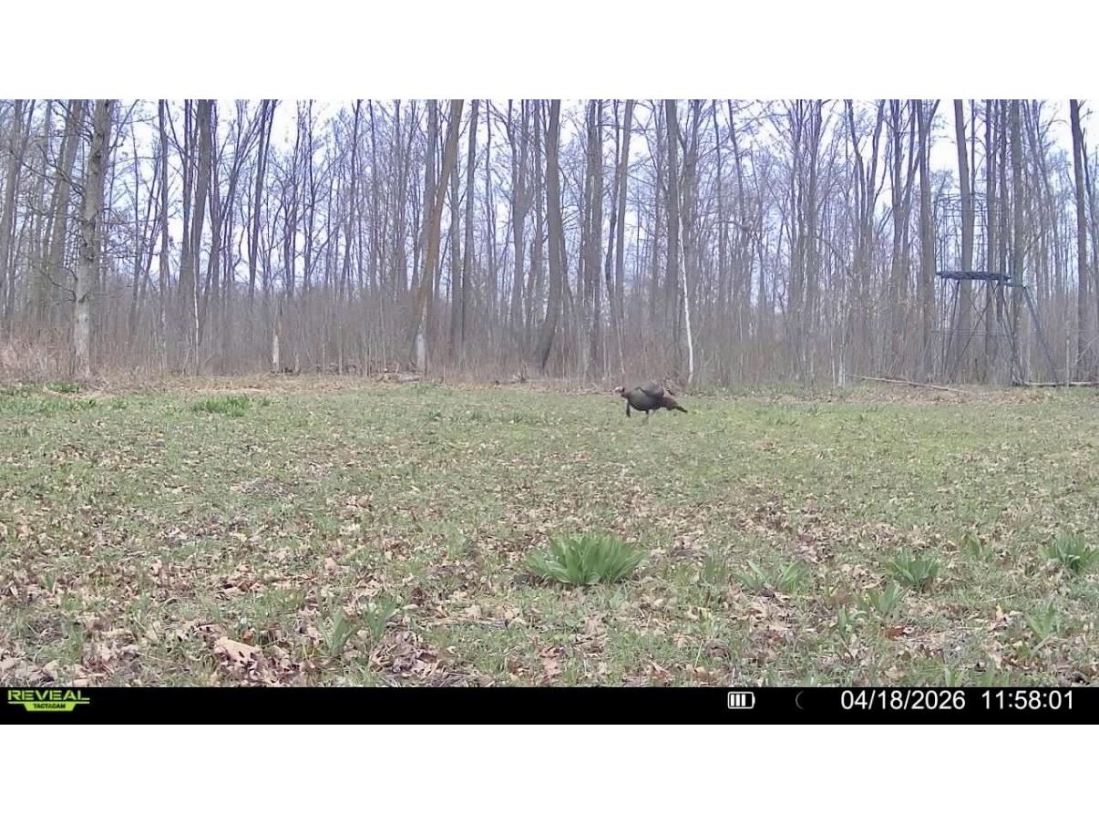 25478 185th Avenue Cornell WI 54732 1603555 image28