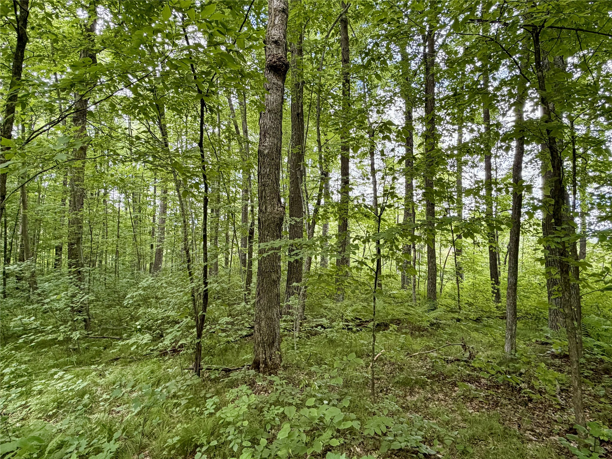 25478 185th Avenue Cornell WI 54732 1603555 image3