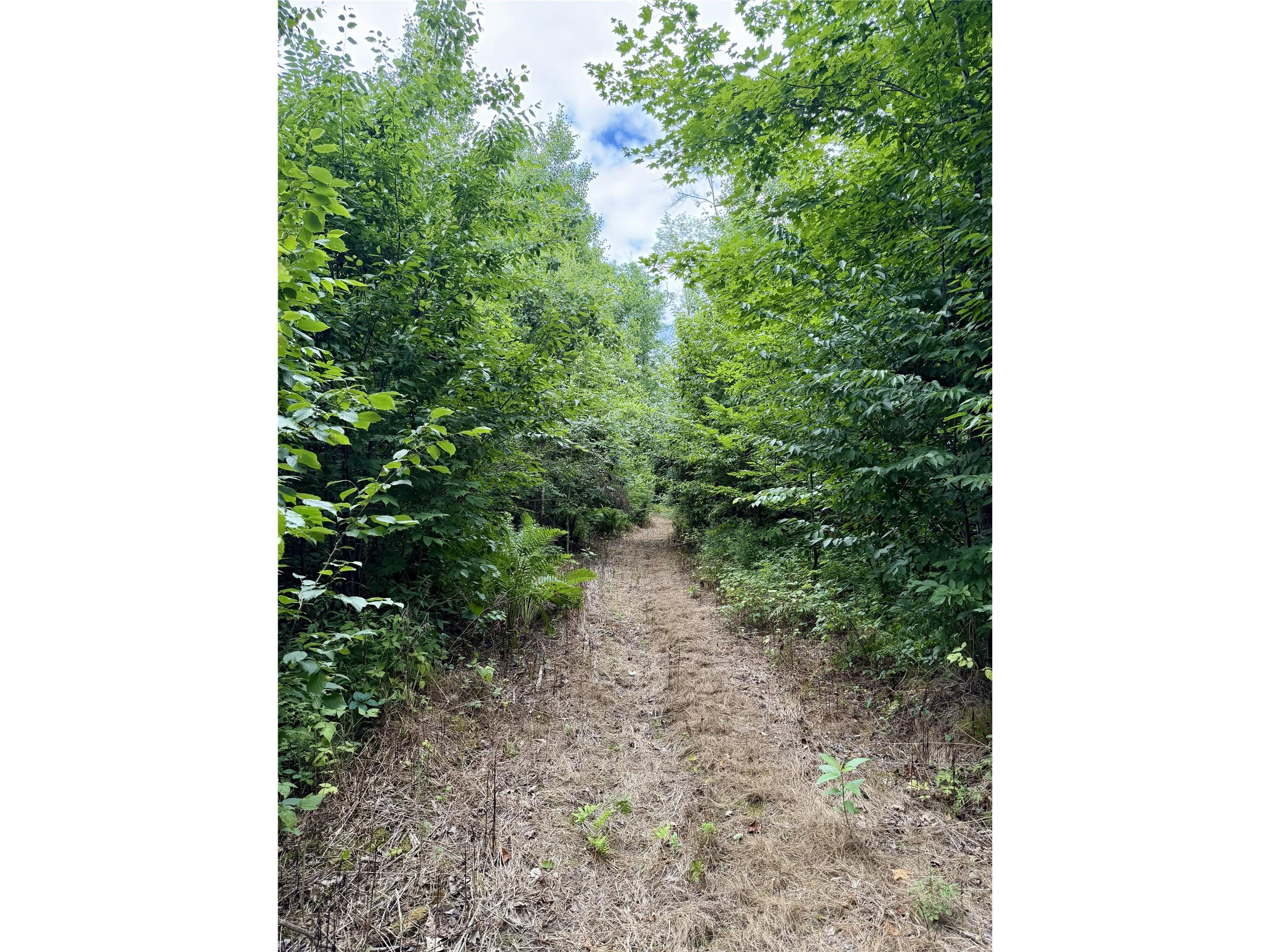 25478 185th Avenue Cornell WI 54732 1603555 image30