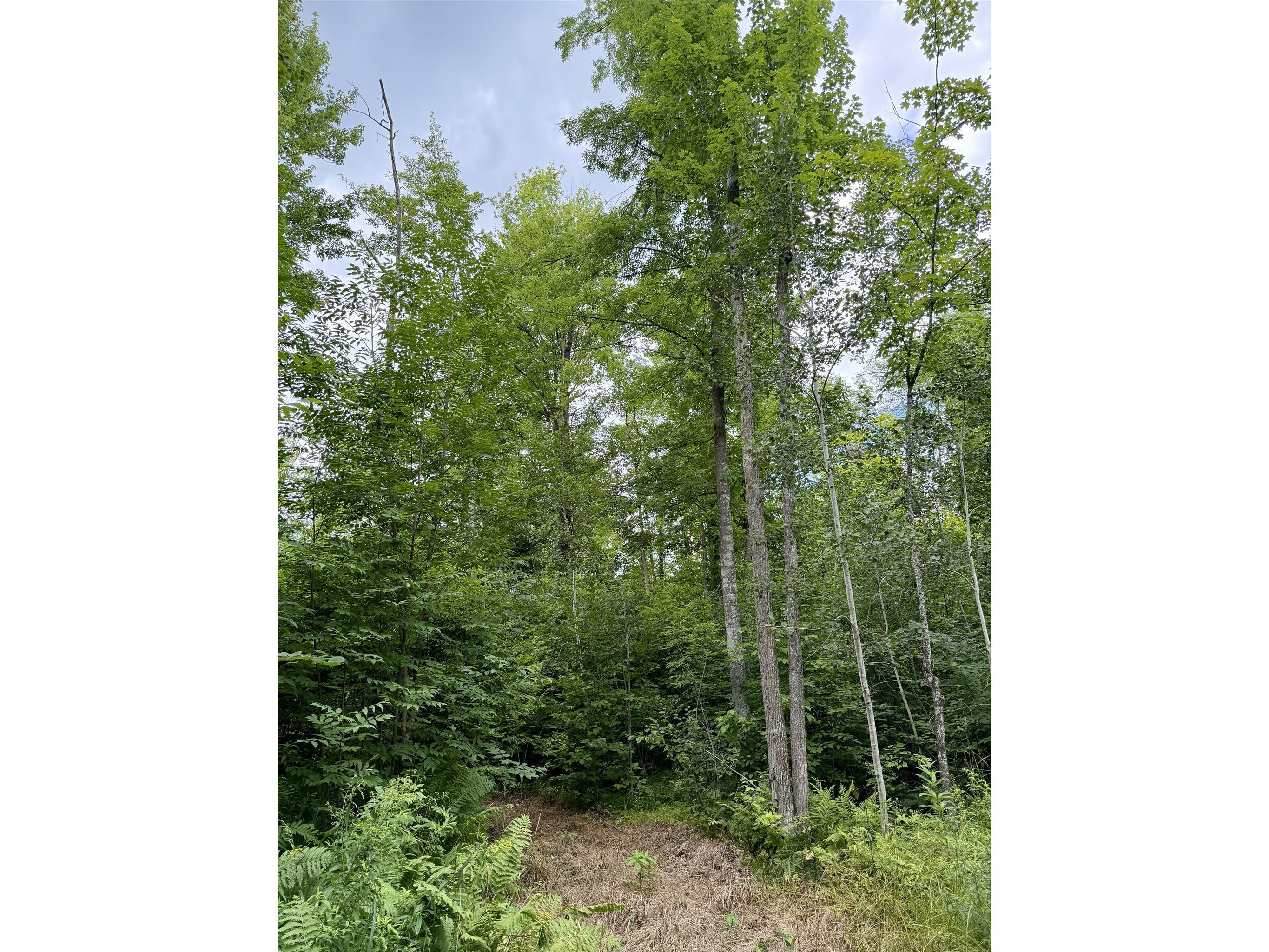 25478 185th Avenue Cornell WI 54732 1603555 image31