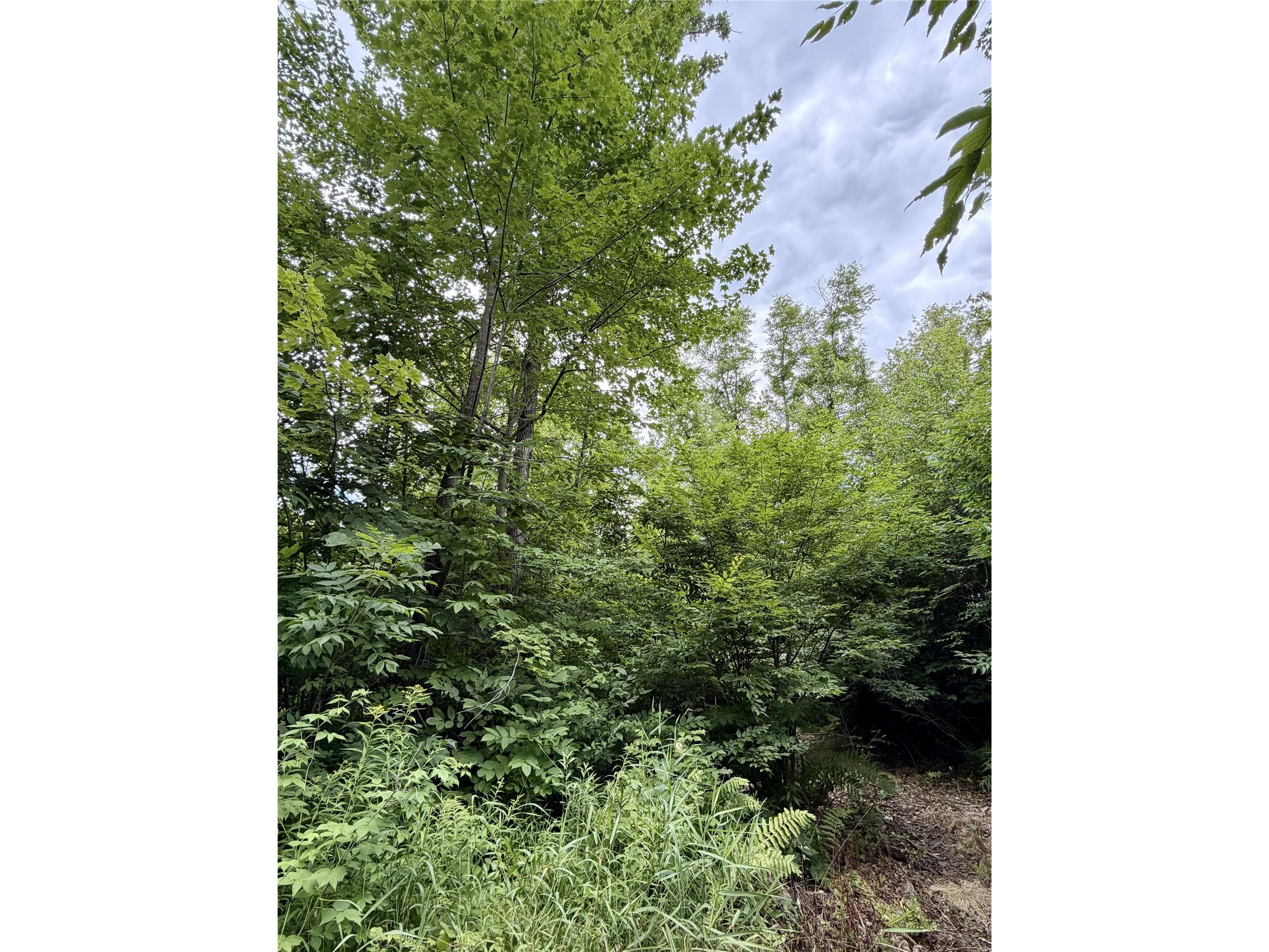 25478 185th Avenue Cornell WI 54732 1603555 image32