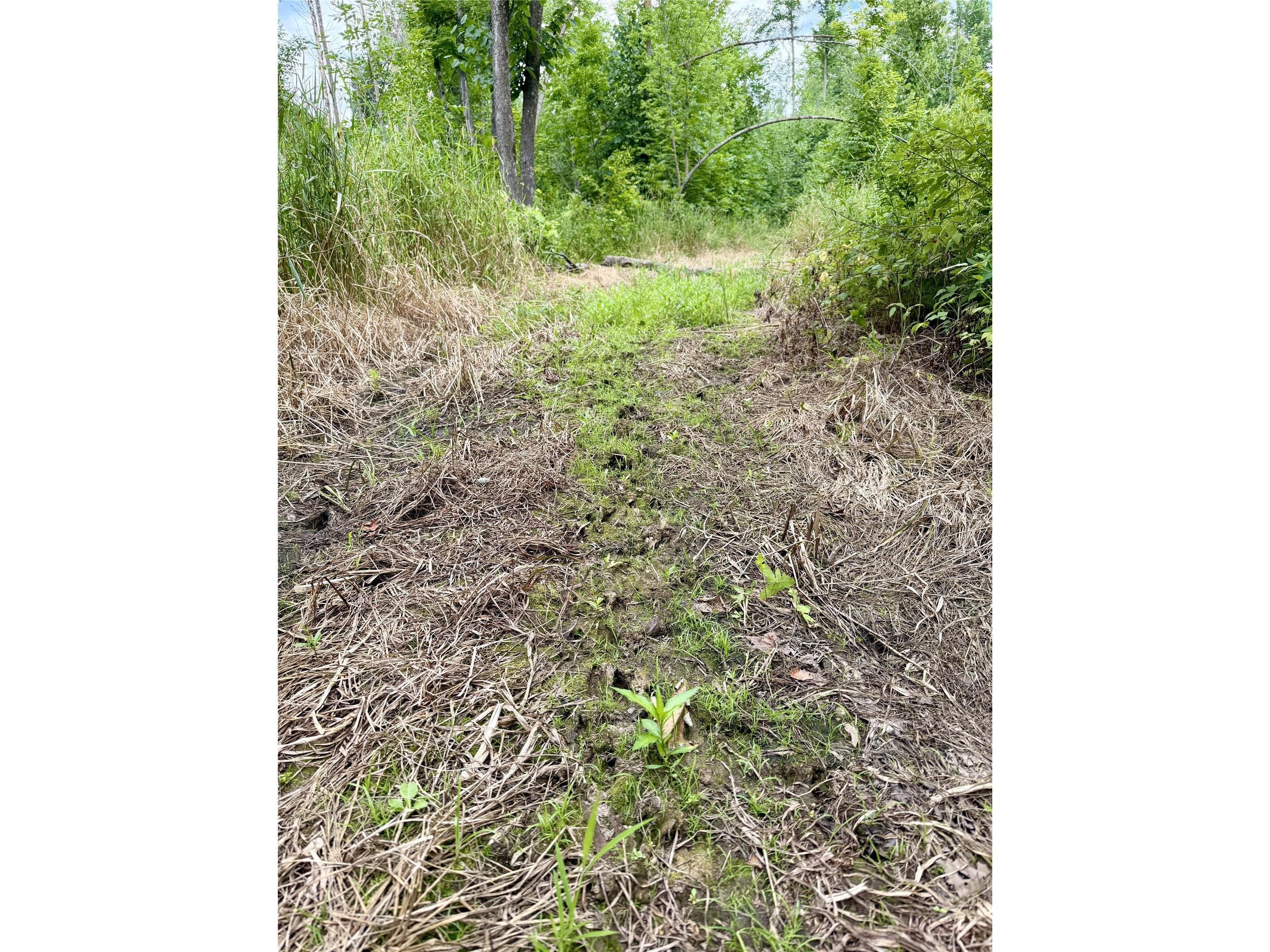 25478 185th Avenue Cornell WI 54732 1603555 image33