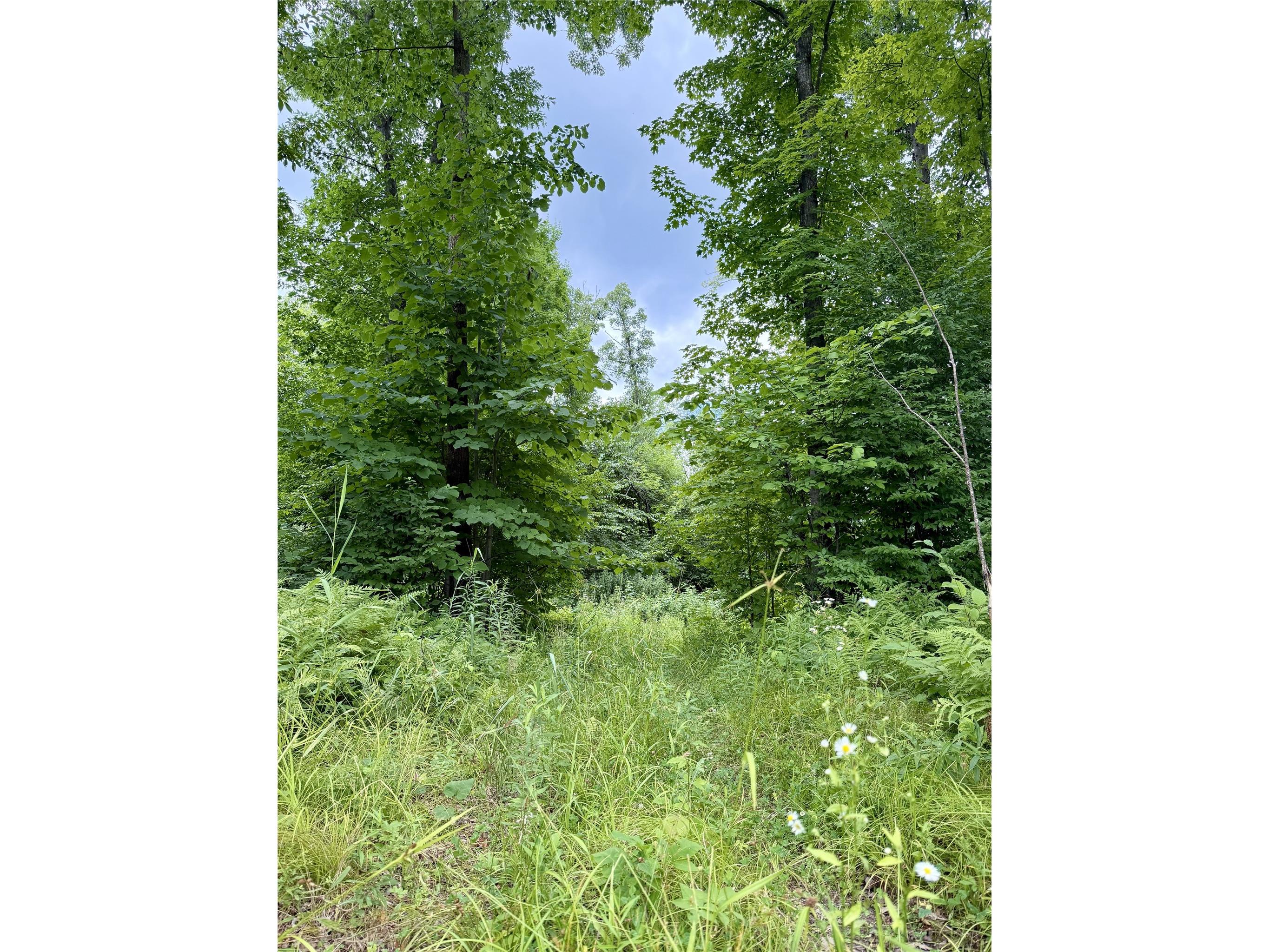 25478 185th Avenue Cornell WI 54732 1603555 image34