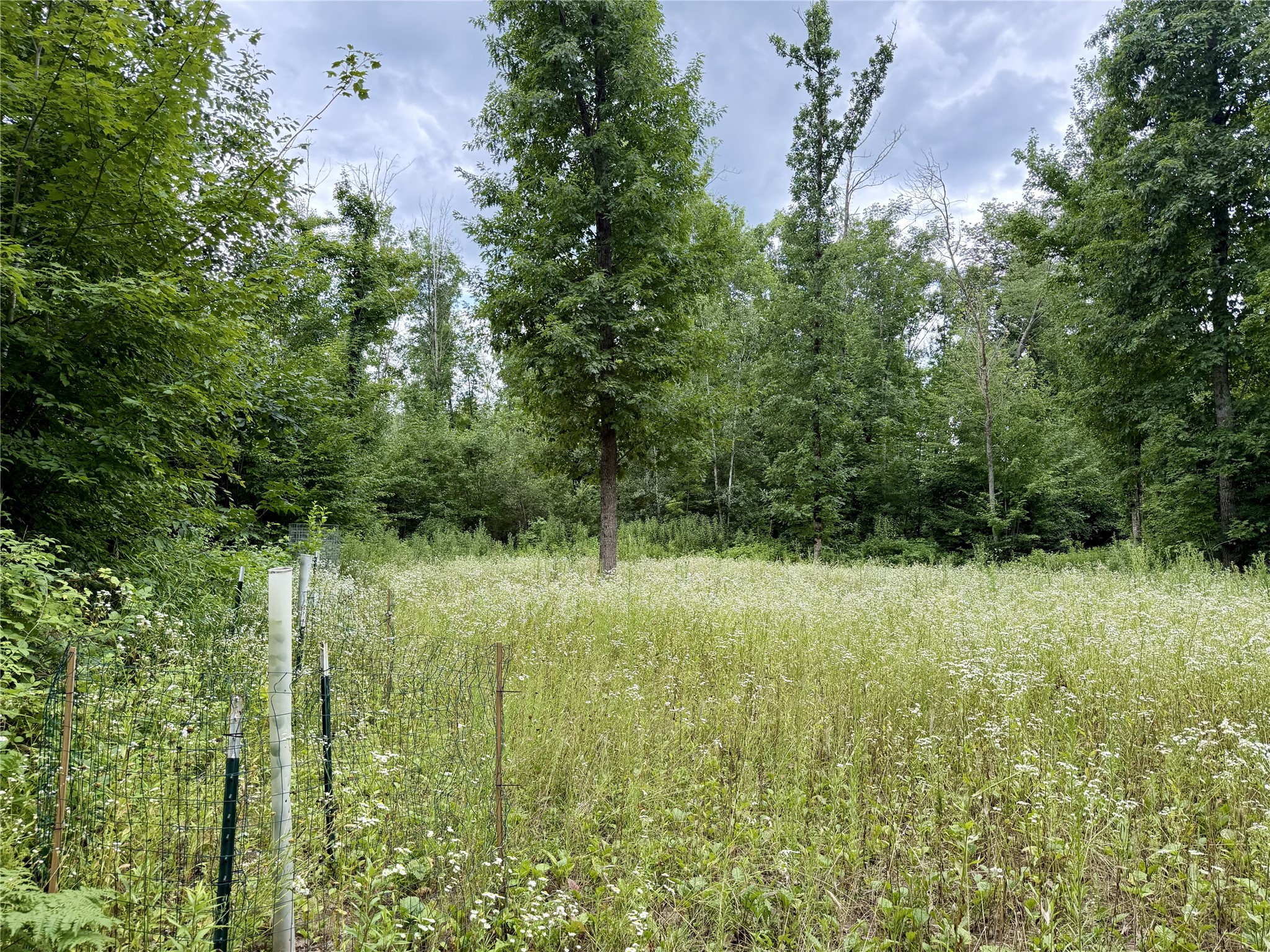25478 185th Avenue Cornell WI 54732 1603555 image37