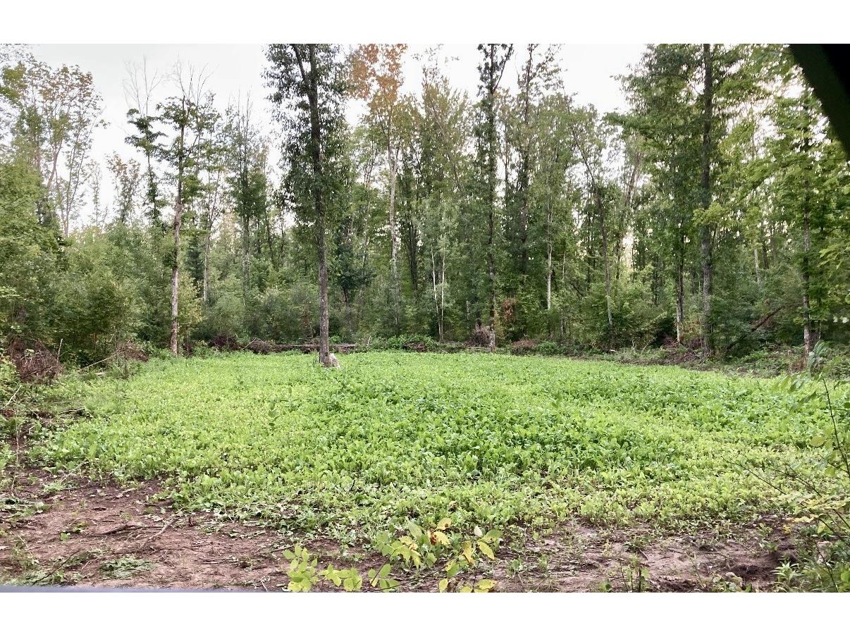 25478 185th Avenue Cornell WI 54732 1603555 image40