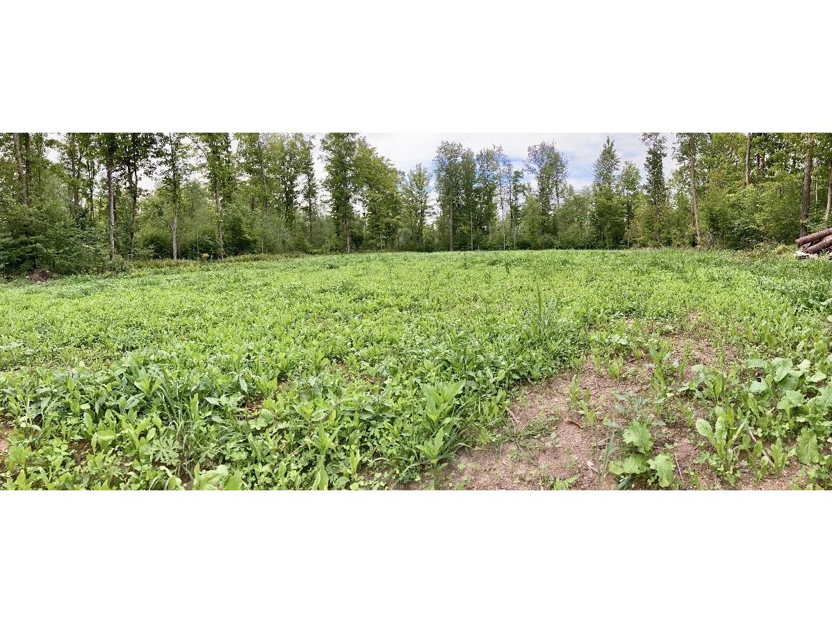 25478 185th Avenue Cornell WI 54732 1603555 image41