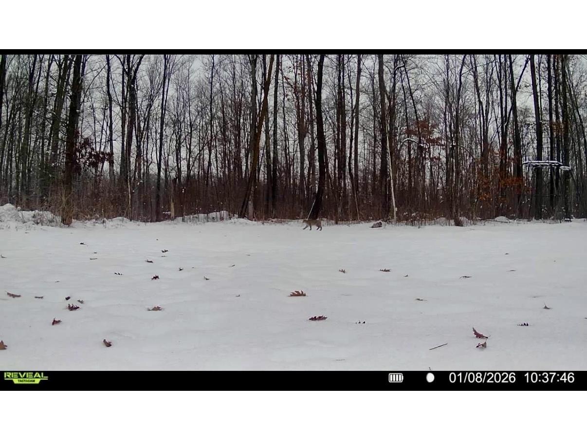 25478 185th Avenue Cornell WI 54732 1603555 image42