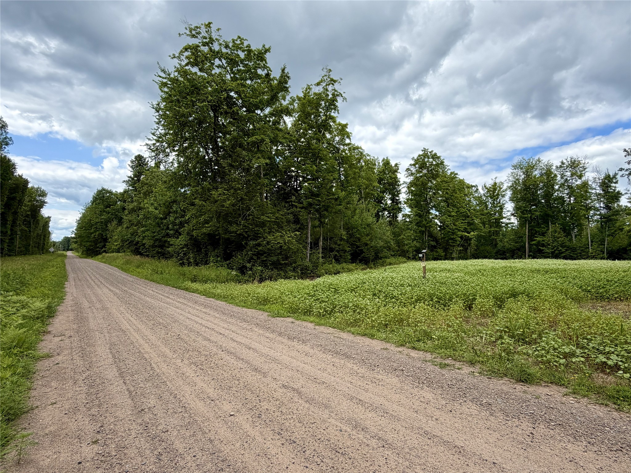 25478 185th Avenue Cornell WI 54732 1603555 image44