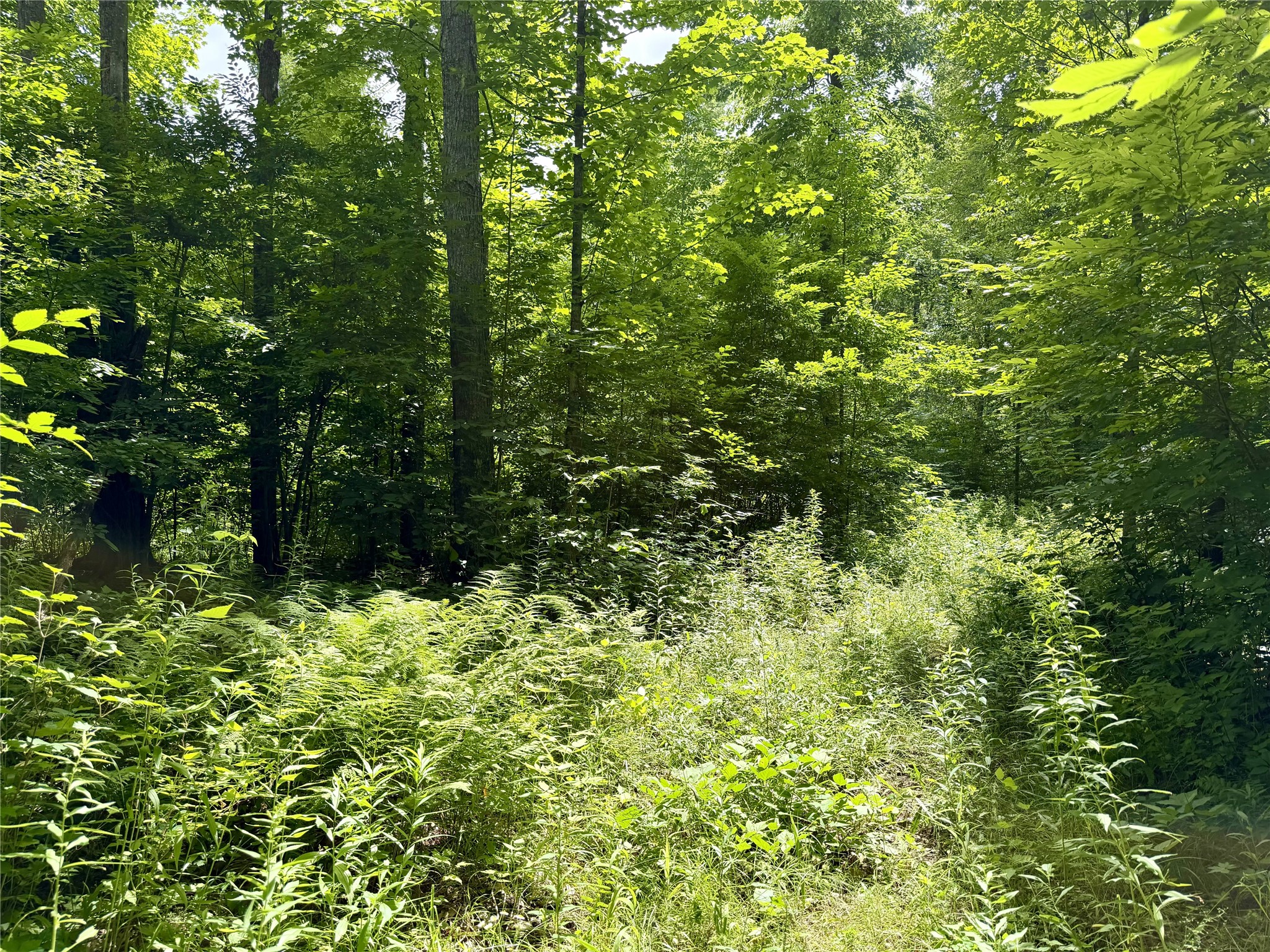 25478 185th Avenue Cornell WI 54732 1603555 image5