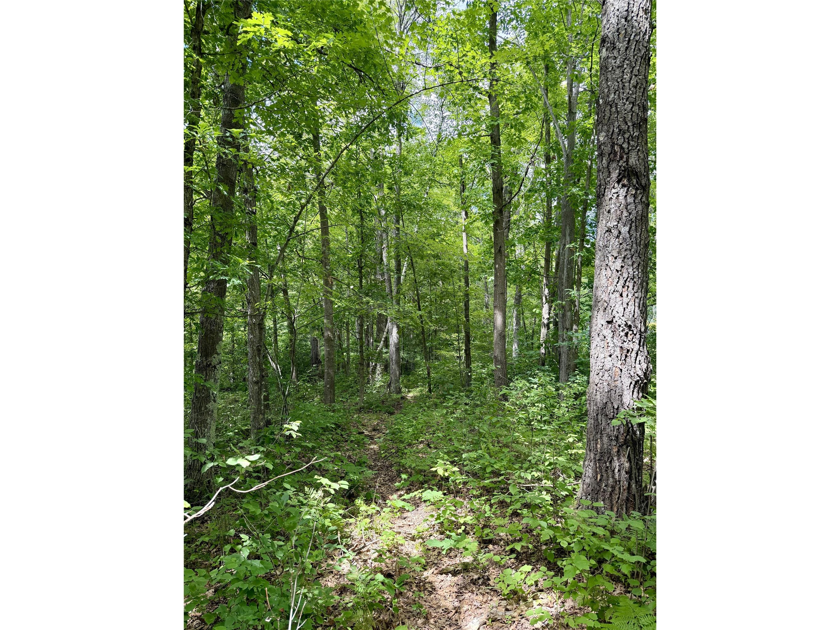 25478 185th Avenue Cornell WI 54732 1603555 image7