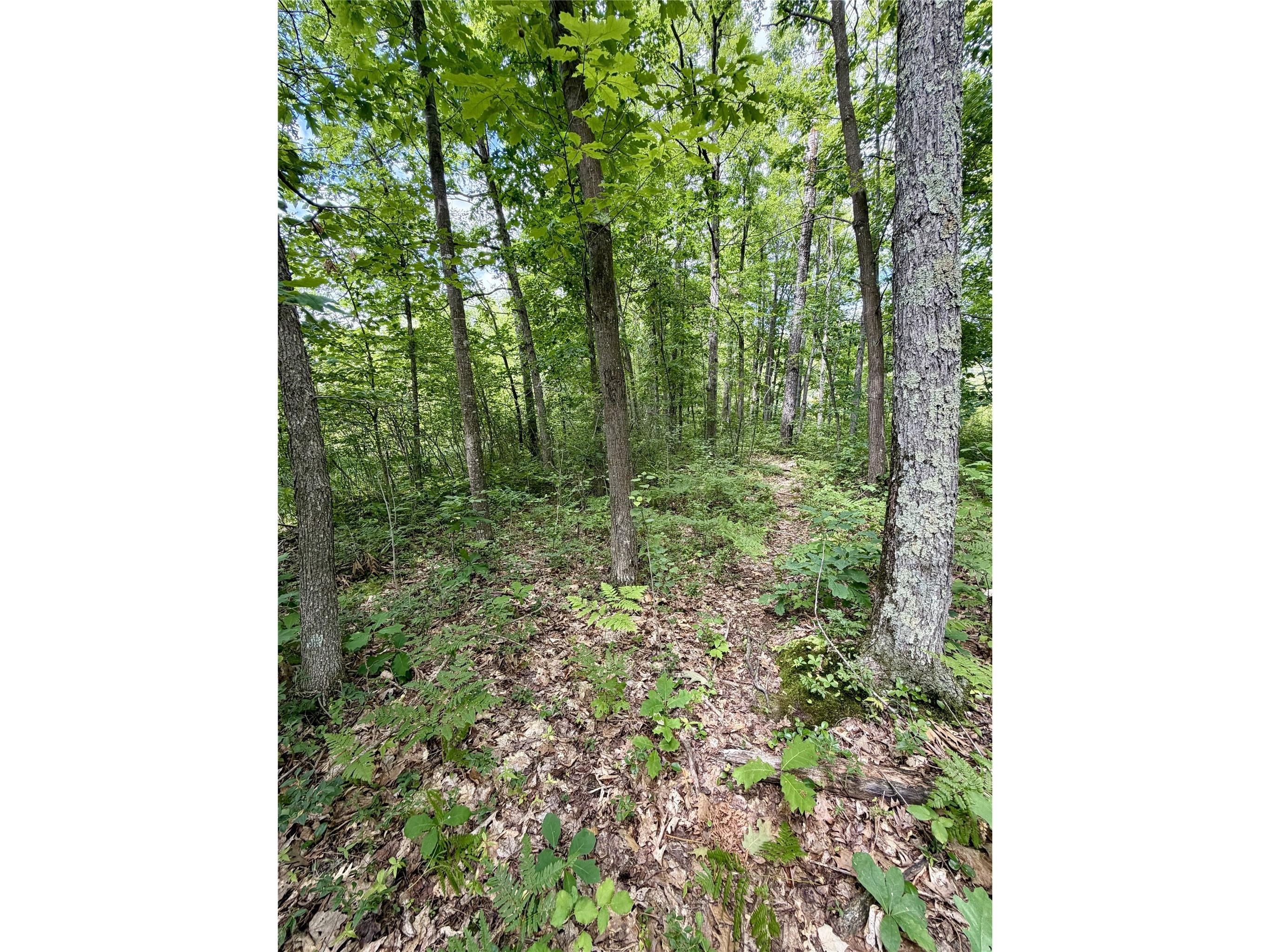 25478 185th Avenue Cornell WI 54732 1603555 image8
