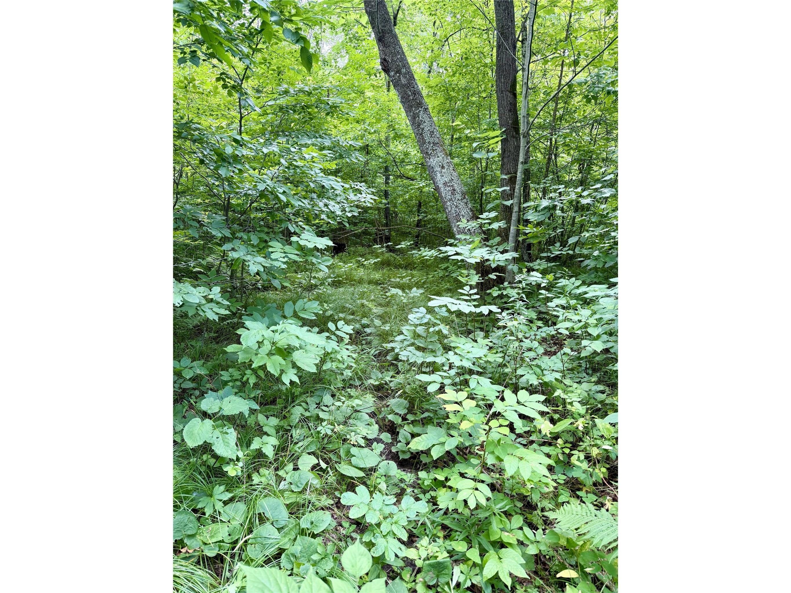 25478 185th Avenue Cornell WI 54732 1603555 image9