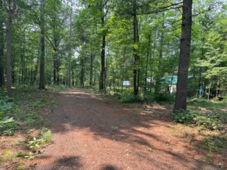 25643 Firefly Lane Webster WI 54893 1593505 image5