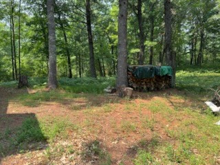 25643 Firefly Lane Webster WI 54893 1593505 image7