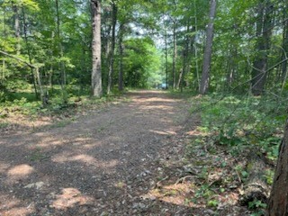 25643 Firefly Lane Webster WI 54893 1593505 image8