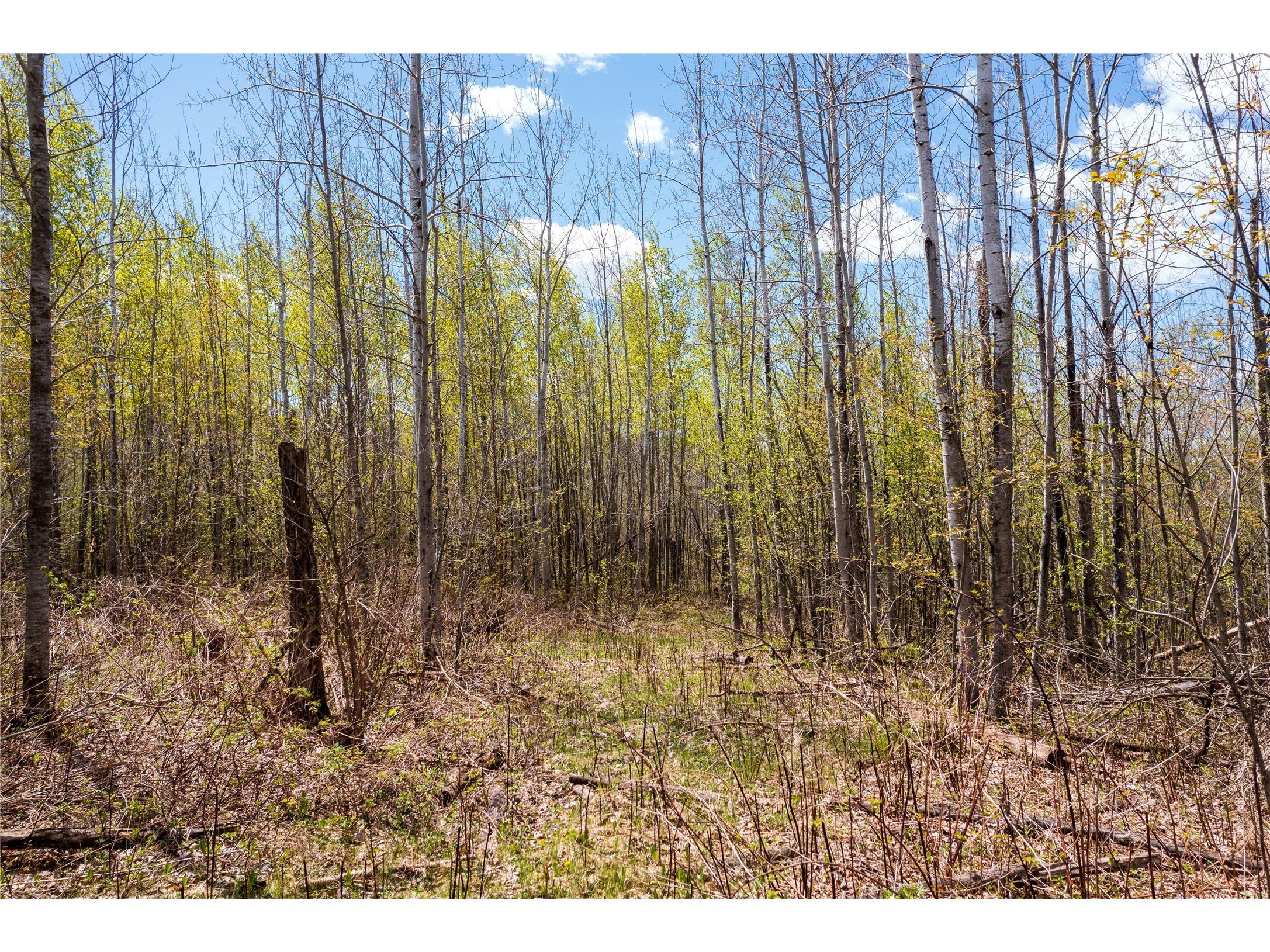 2569 12 3/4 Avenue Cameron WI 54822 1601129 image10