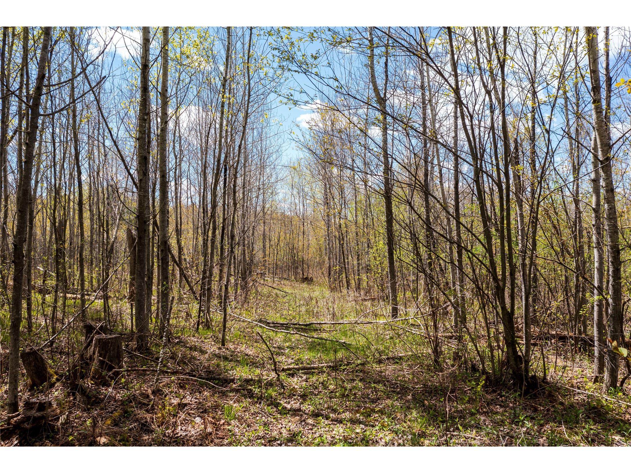 2569 12 3/4 Avenue Cameron WI 54822 1601129 image6