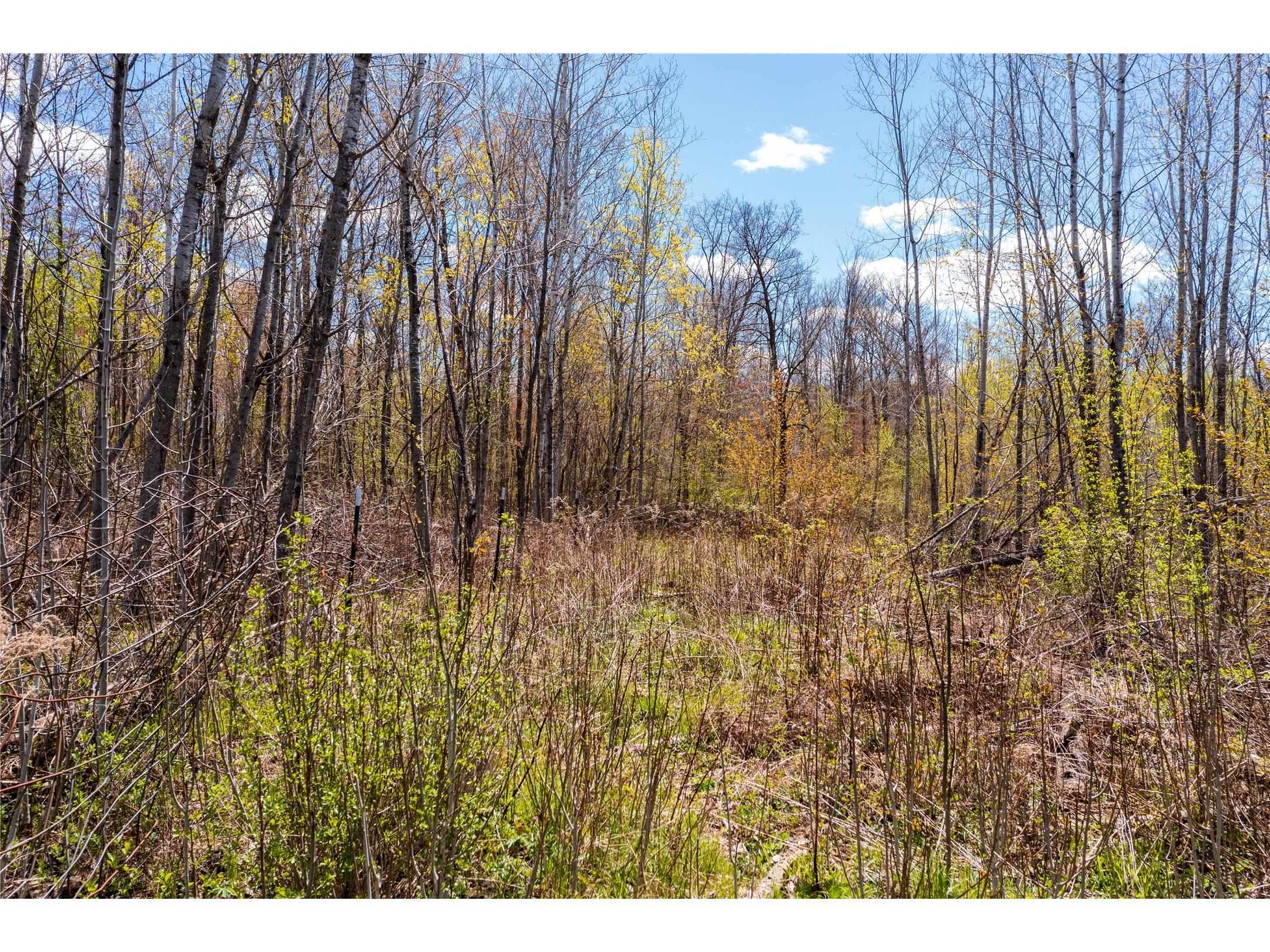2569 12 3/4 Avenue Cameron WI 54822 1601129 image7