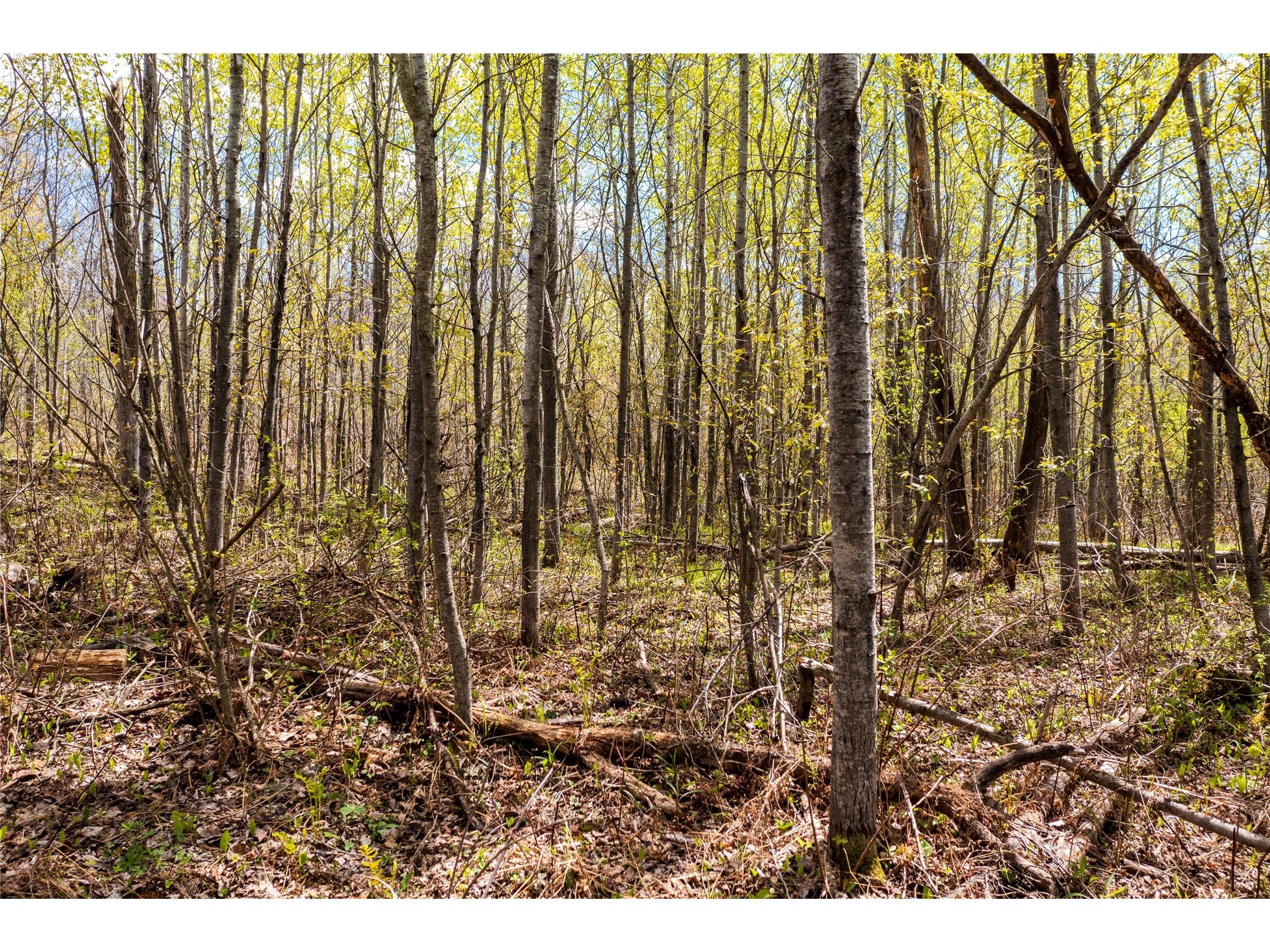 2569 12 3/4 Avenue Cameron WI 54822 1601129 image8