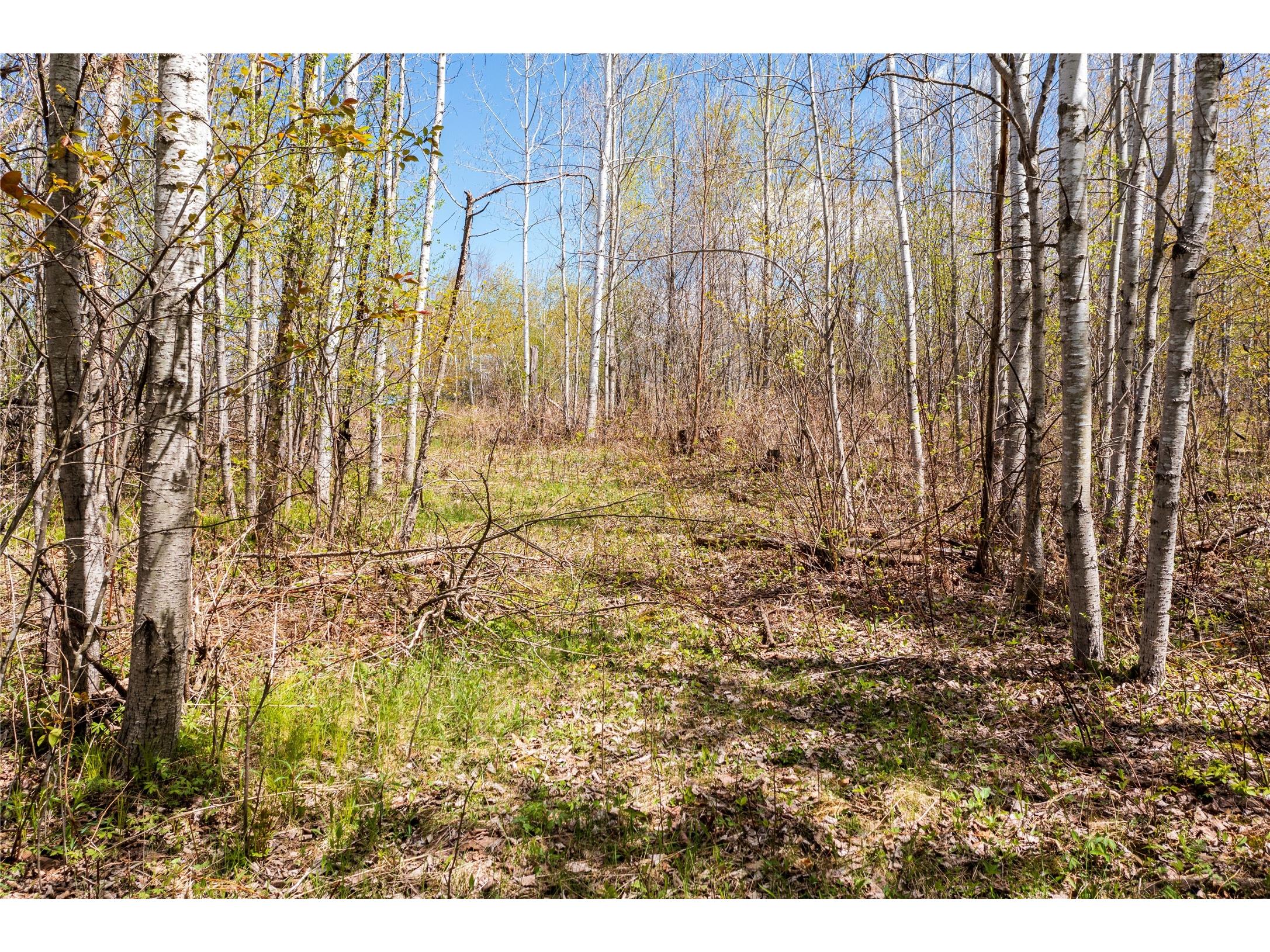 2569 12 3/4 Avenue Cameron WI 54822 1601129 image9