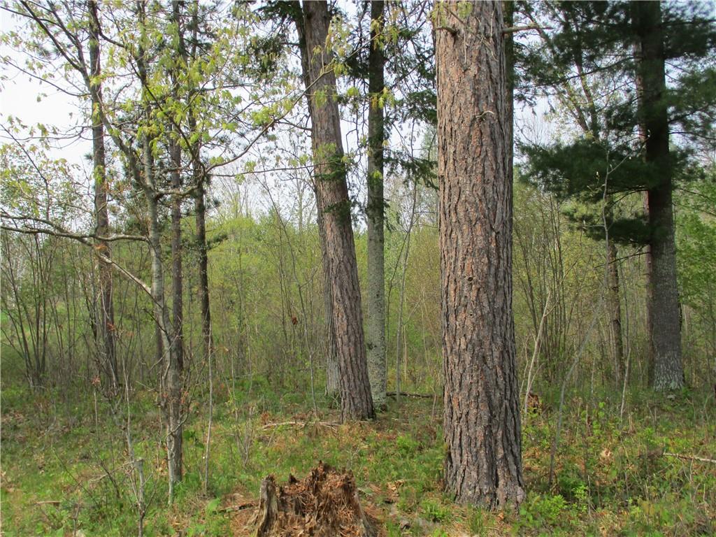 2591 Gaslyn Creek Rd Webster WI 54893 - Gaslyn Creek 1573412 image1