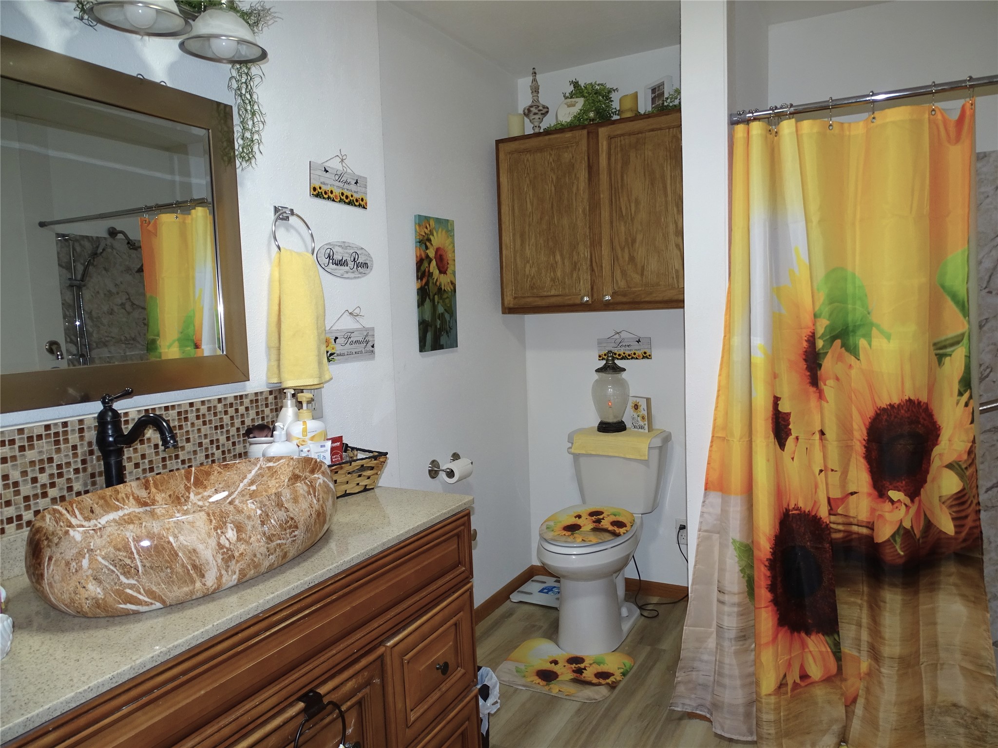 260 N Harrison Street Mondovi WI 54755 1601509 image20