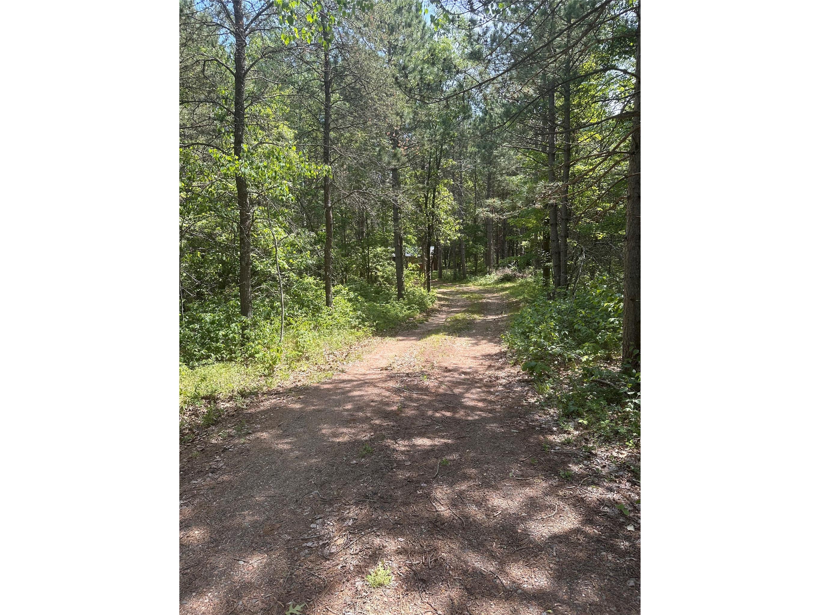 26040 Ostergren Road Webster WI 54893 1602298 image4