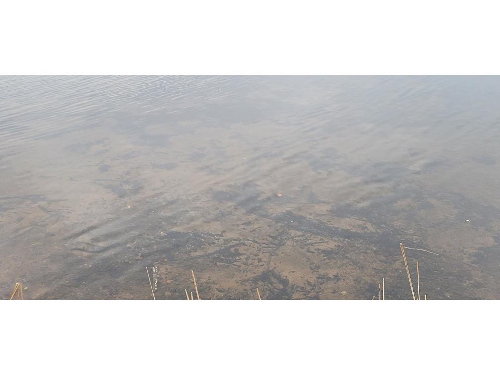 26391 Indian Mounds Road Spooner WI 54801 - Rice Lake 1600351 image22