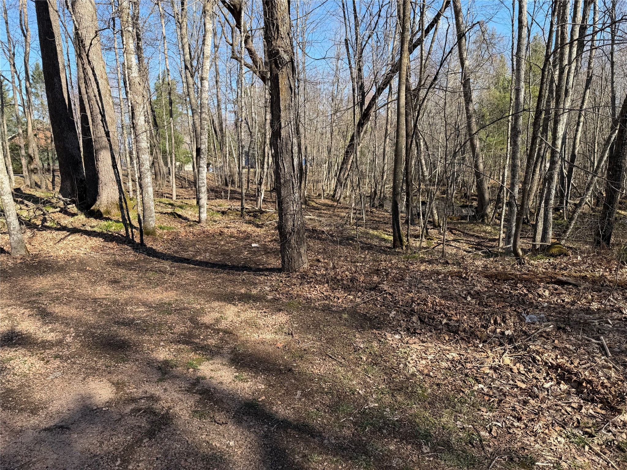 2649 28 1/8 Street Birchwood WI 54817 1600194 image33