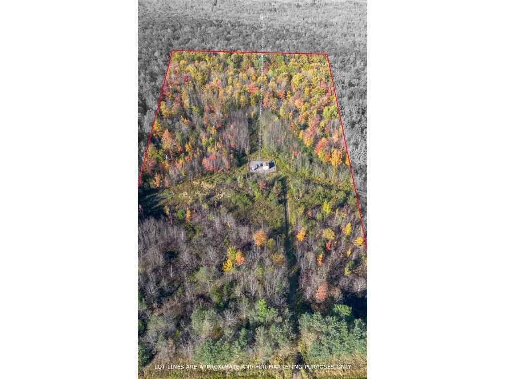 2656 State Hwy 8 Cameron WI 54868 1596421 image7