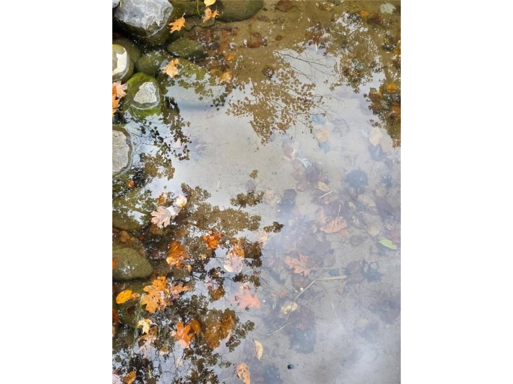 2667 2 1/4 Street Cumberland WI 54829 - Sand 1591960 image9