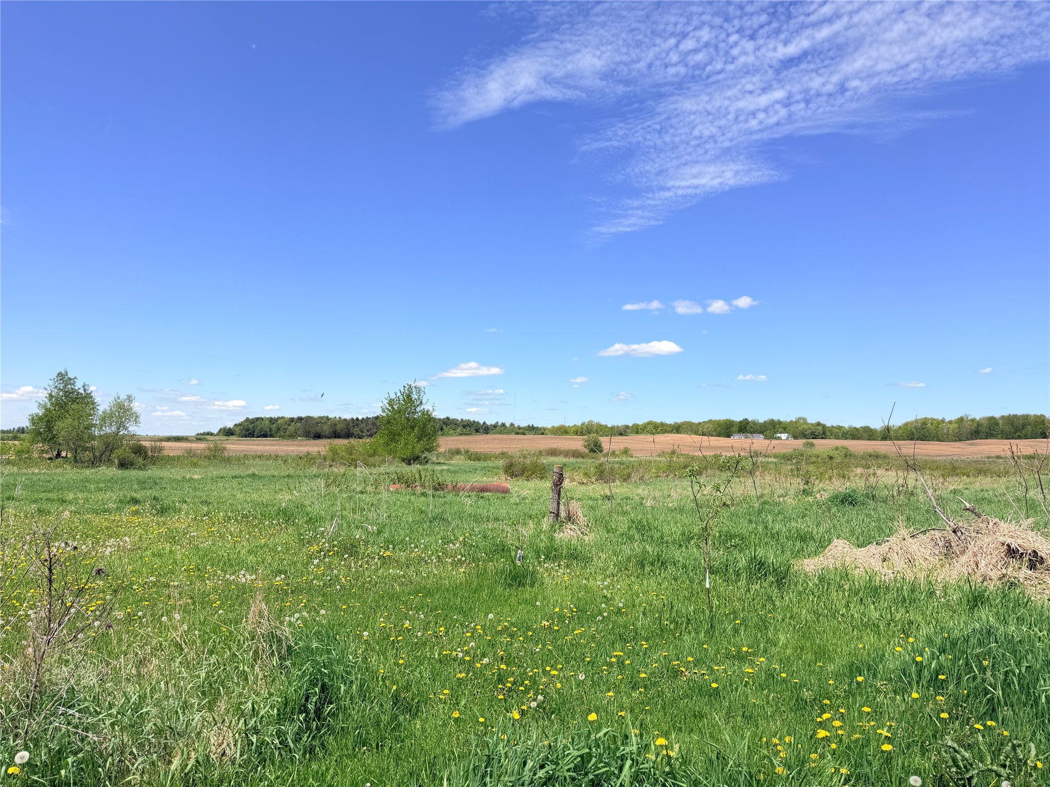 26692 165th Avenue Cadott WI 54727 1601355 image41