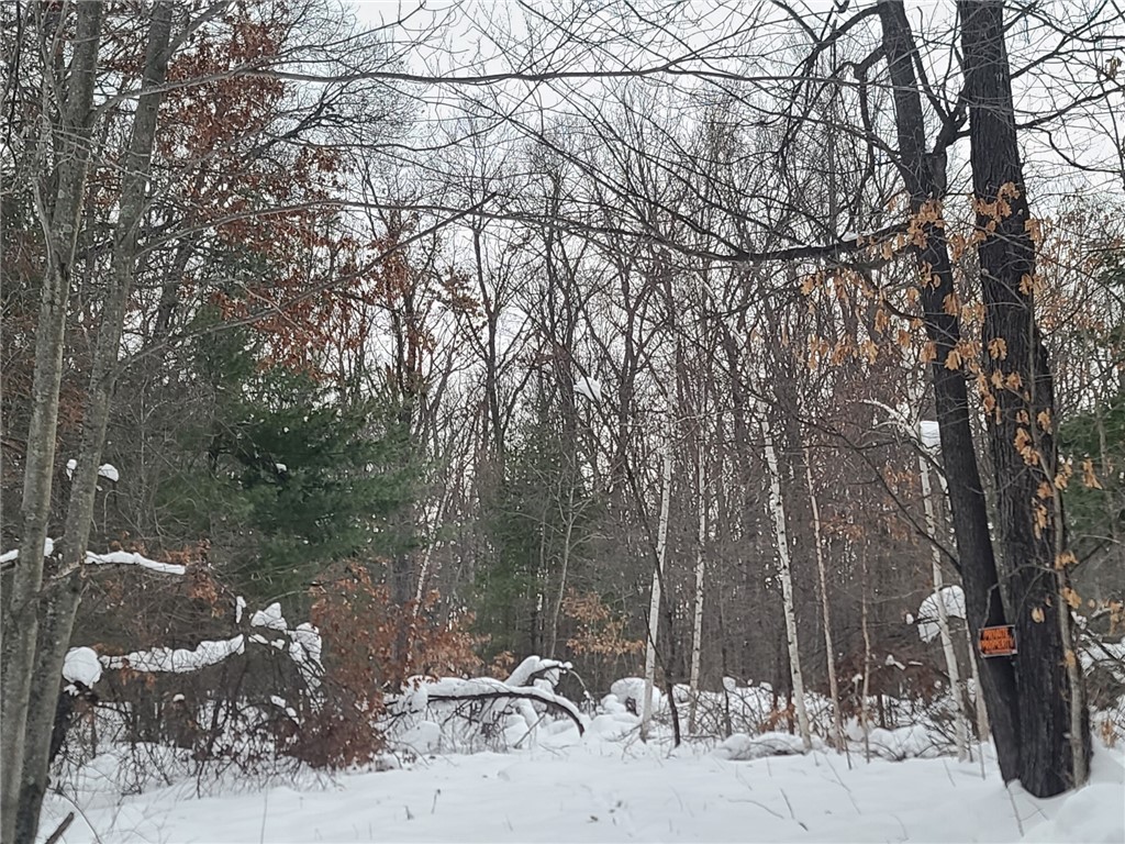 26735 Bass Avenue Webster WI 54893 1571207 image1