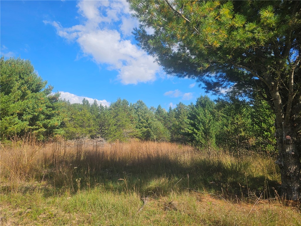 26912 Marias Way Webster WI 54893 1593584 image10