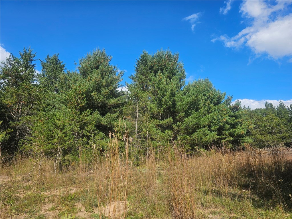 26912 Marias Way Webster WI 54893 1593584 image11