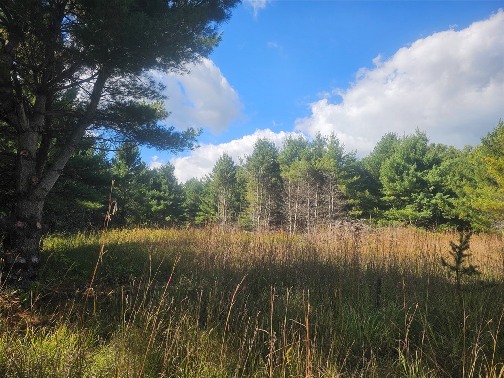 26912 Marias Way Webster WI 54893 1593584 image4