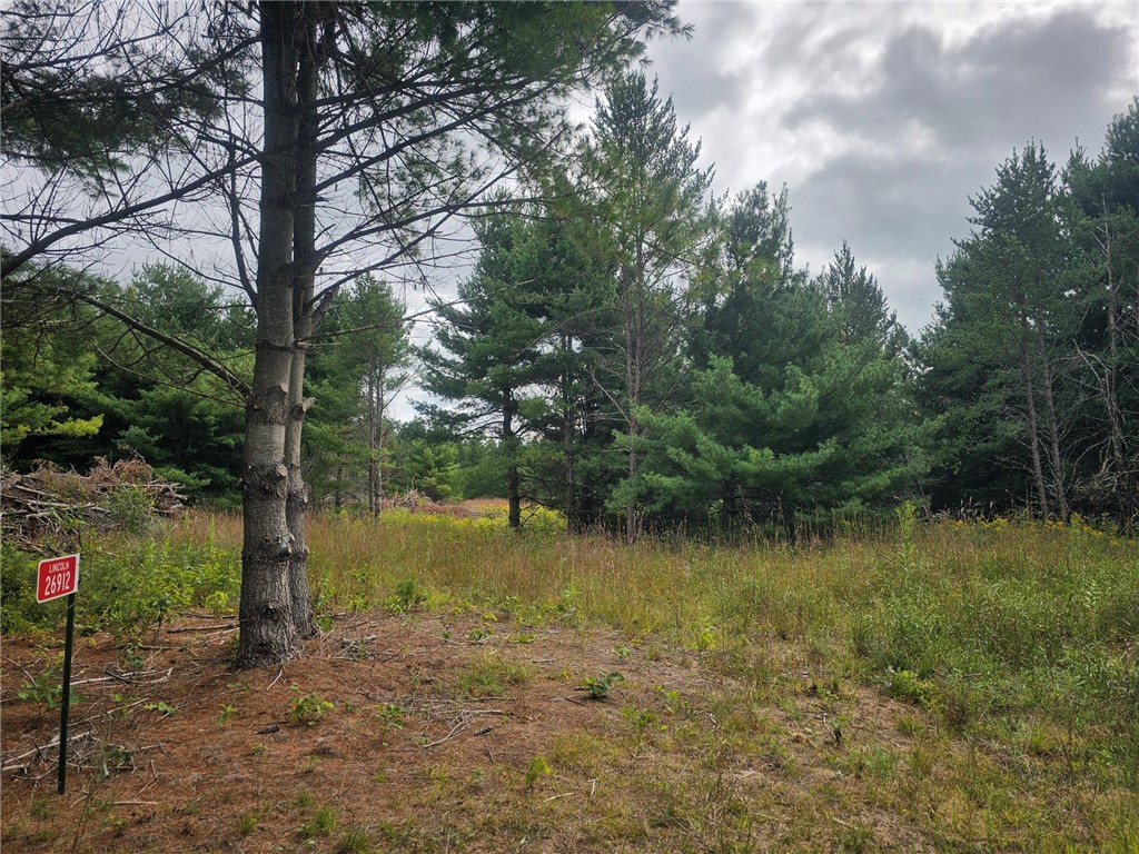 26912 Marias Way Webster WI 54893 1593584 image8