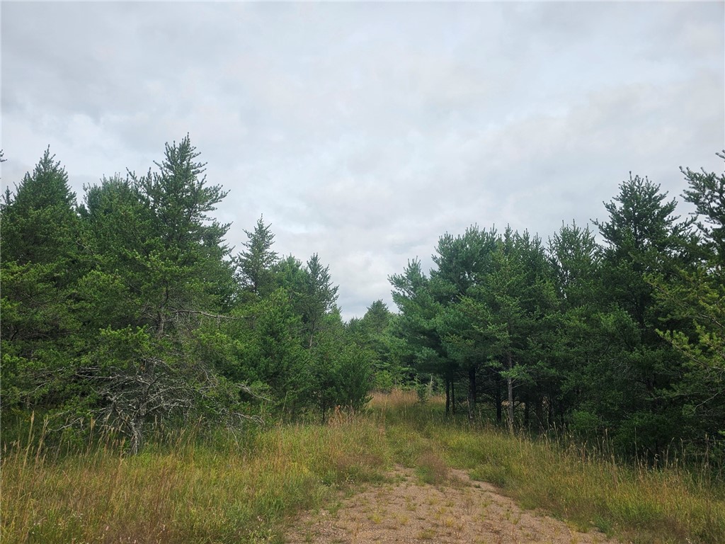 26912 Marias Way Webster WI 54893 1593584 image9