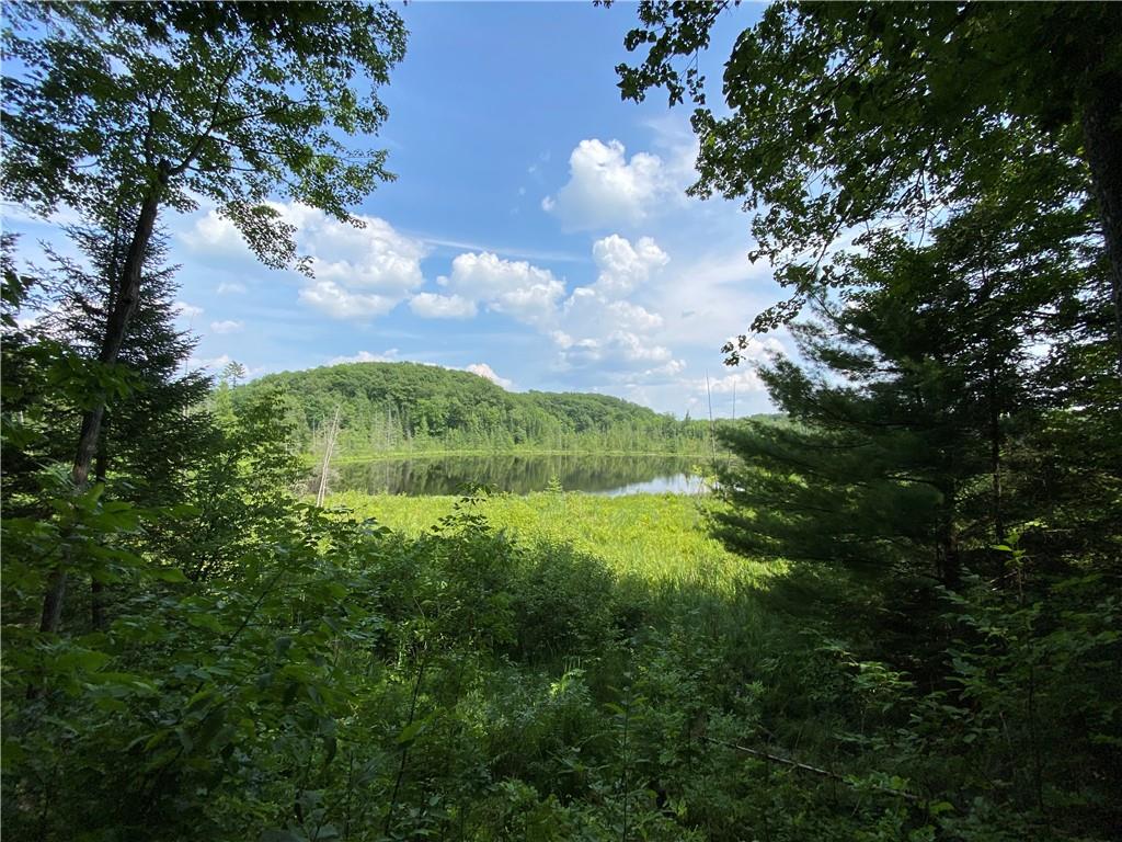 27047 165th Street New Auburn WI 54757 - POND 1583743 image1