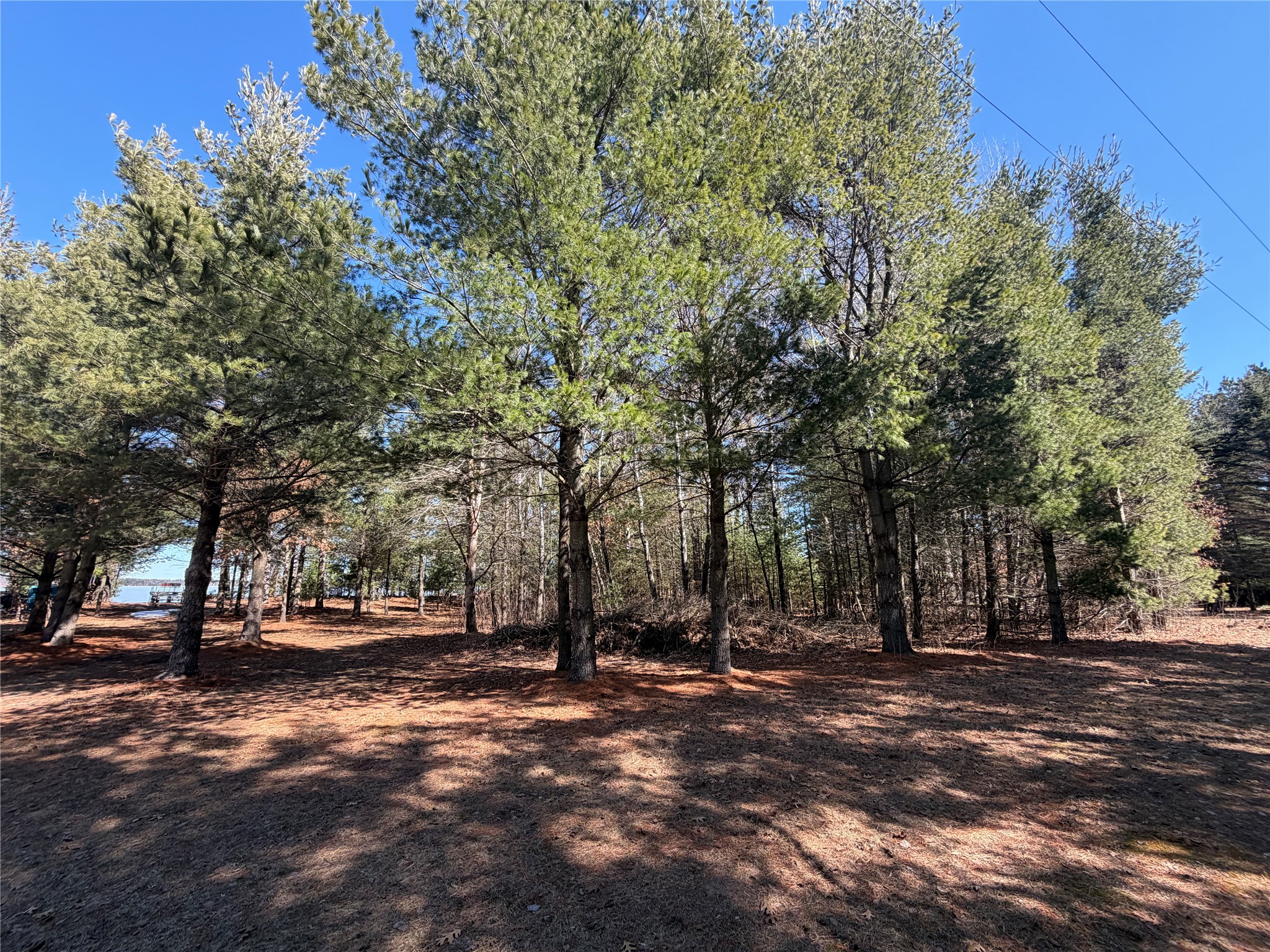 27102 Daniel Dr (14 Lots) Webster WI 54893 - Devils 1599482 image45