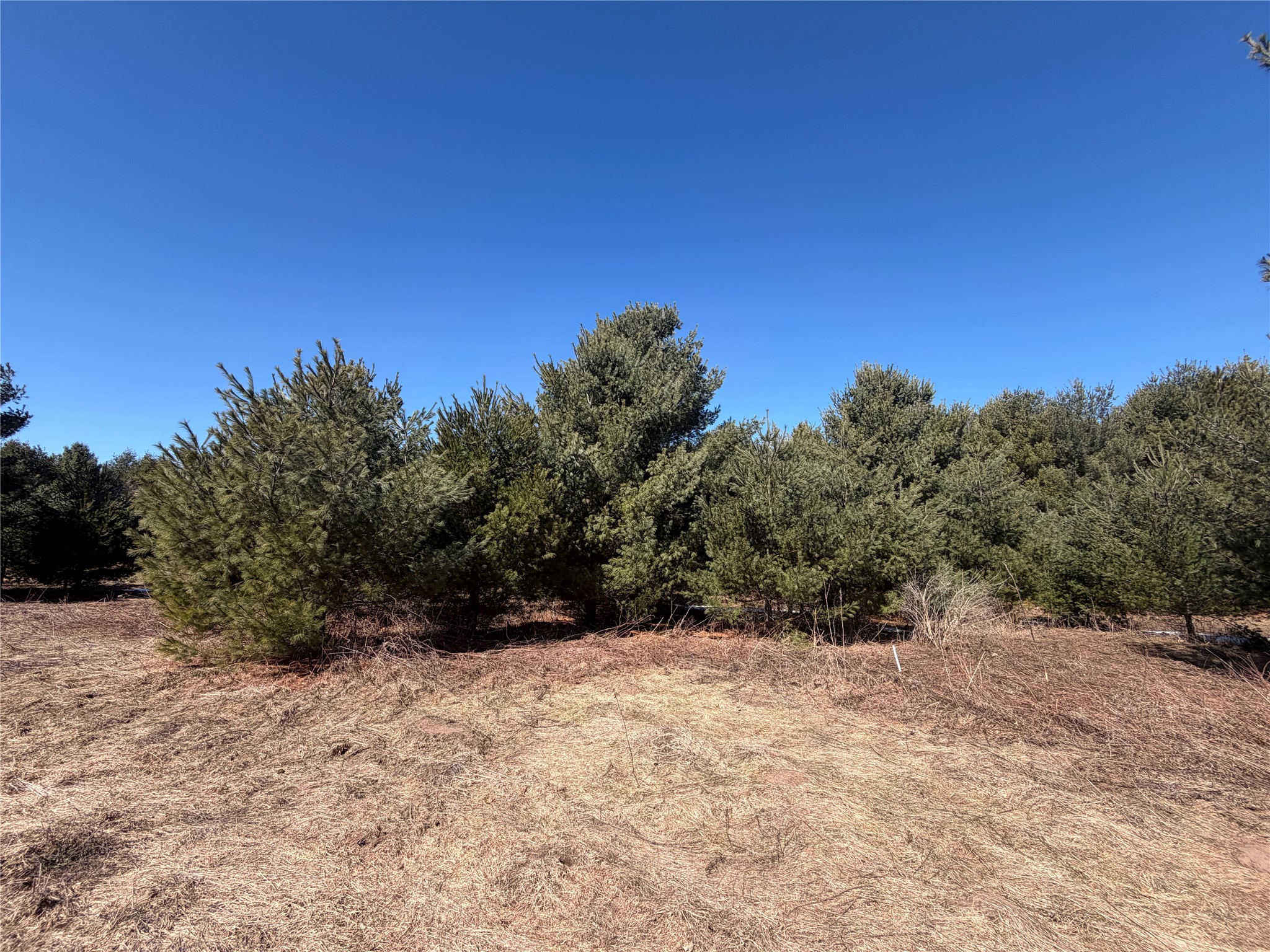 27102 Daniel Dr (14 Lots) Webster WI 54893 - Devils 1599482 image47