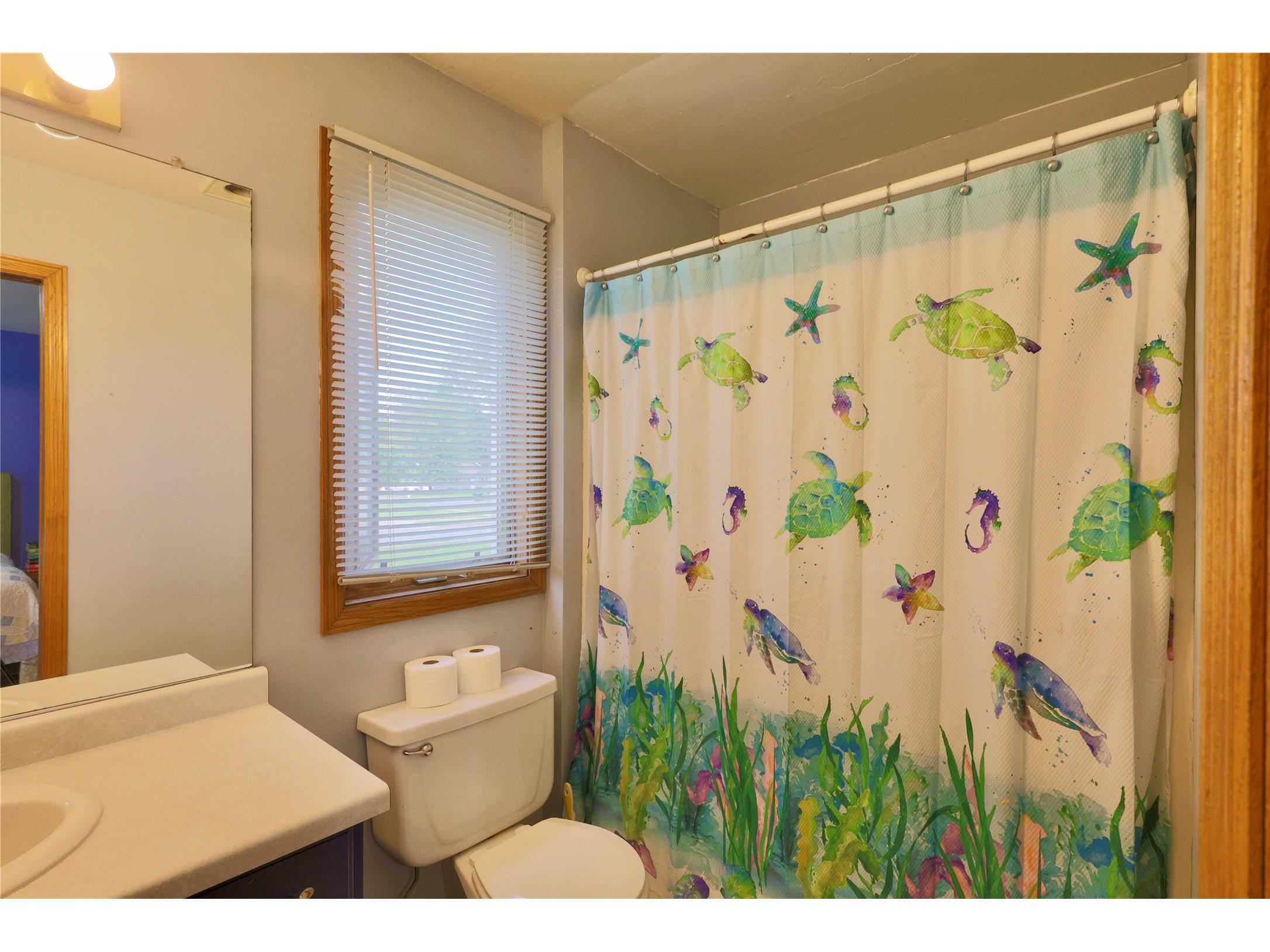 2725 Diane Lane Eau Claire WI 54703 1602690 image23