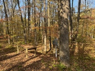 2728 28 3/8 Street Birchwood WI 54817 - Red Cedar 1596203 image13