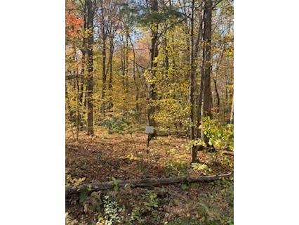 2728 28 3/8 Street Birchwood WI 54817 - Red Cedar 1596203 image18