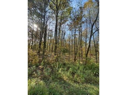 2728 28 3/8 Street Birchwood WI 54817 - Red Cedar 1596203 image19