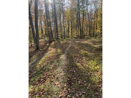 2728 28 3/8 Street Birchwood WI 54817 - Red Cedar 1596203 image2