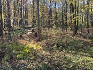 2728 28 3/8 Street Birchwood WI 54817 - Red Cedar 1596203 image20