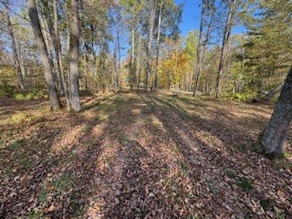 2728 28 3/8 Street Birchwood WI 54817 - Red Cedar 1596203 image21