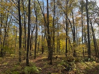 2728 28 3/8 Street Birchwood WI 54817 - Red Cedar 1596203 image22